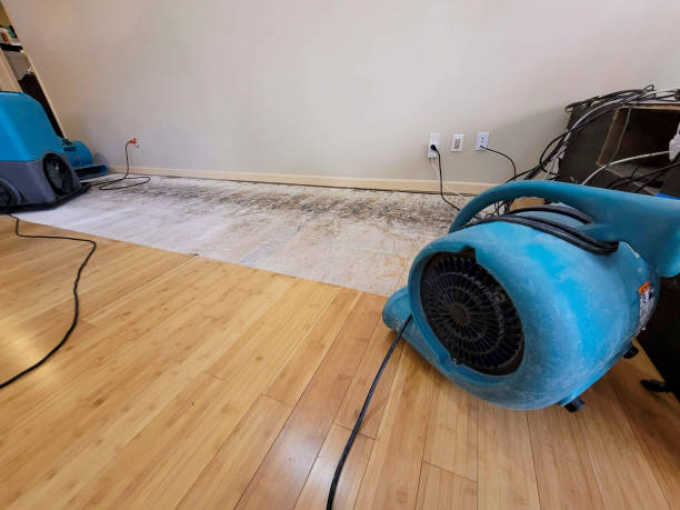 Professional Flood Damage Cleanup technician working in Estes Park, CO